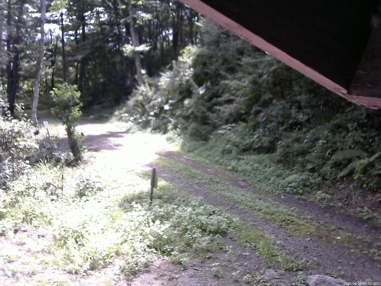 長野県菅平高原 ゆたか山荘 東側(坂下) 2025/08/29 09:45