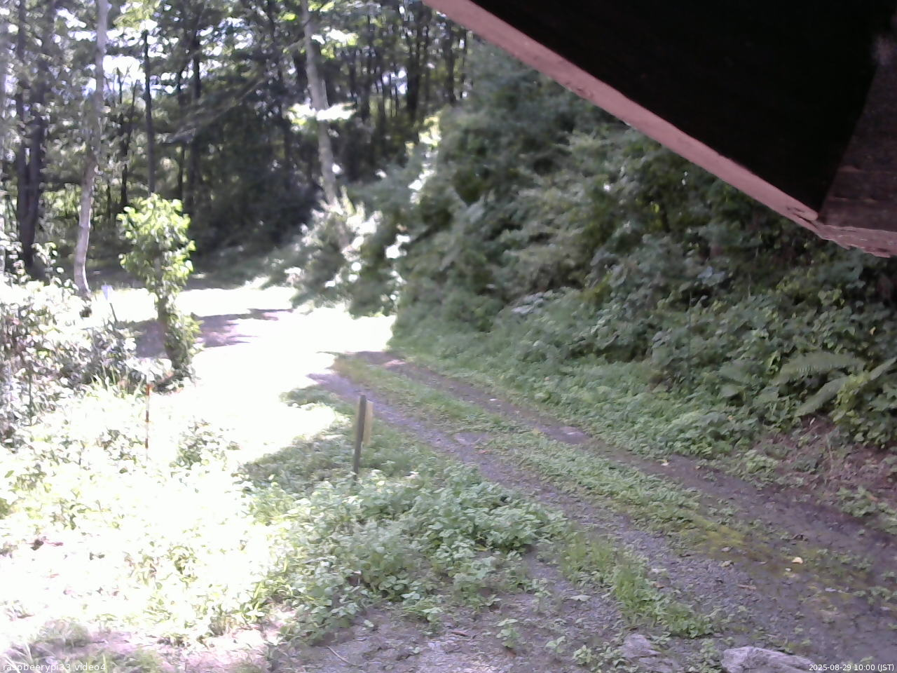 長野県菅平高原 ゆたか山荘 東側(坂下) 2025/08/29 10:00