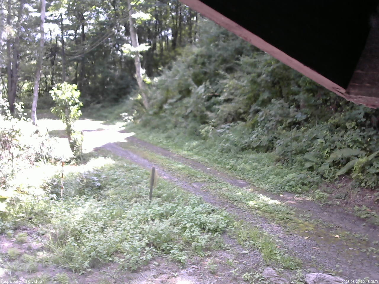 長野県菅平高原 ゆたか山荘 東側(坂下) 2025/08/29 10:45