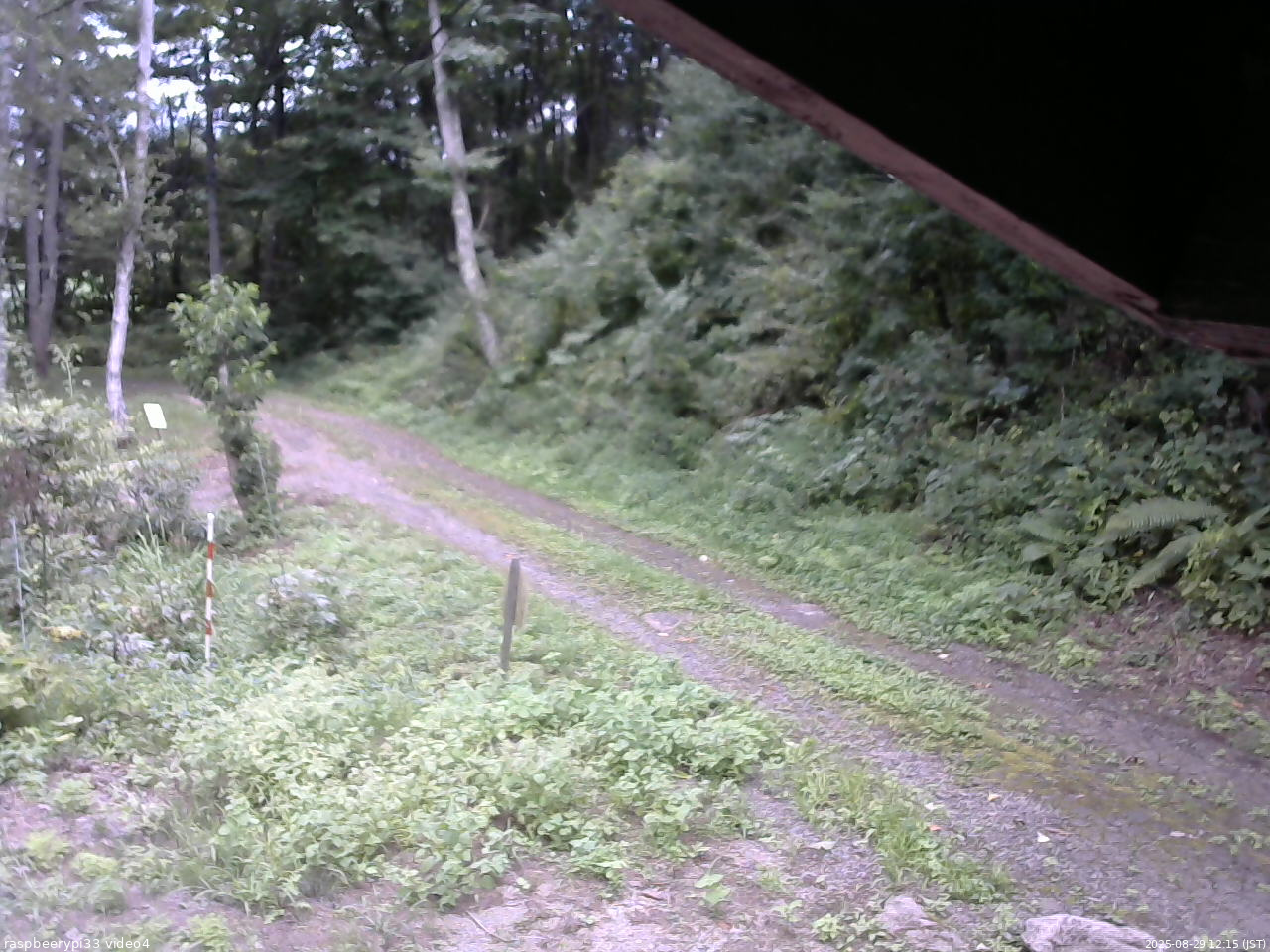 長野県菅平高原 ゆたか山荘 東側(坂下) 2025/08/29 12:15
