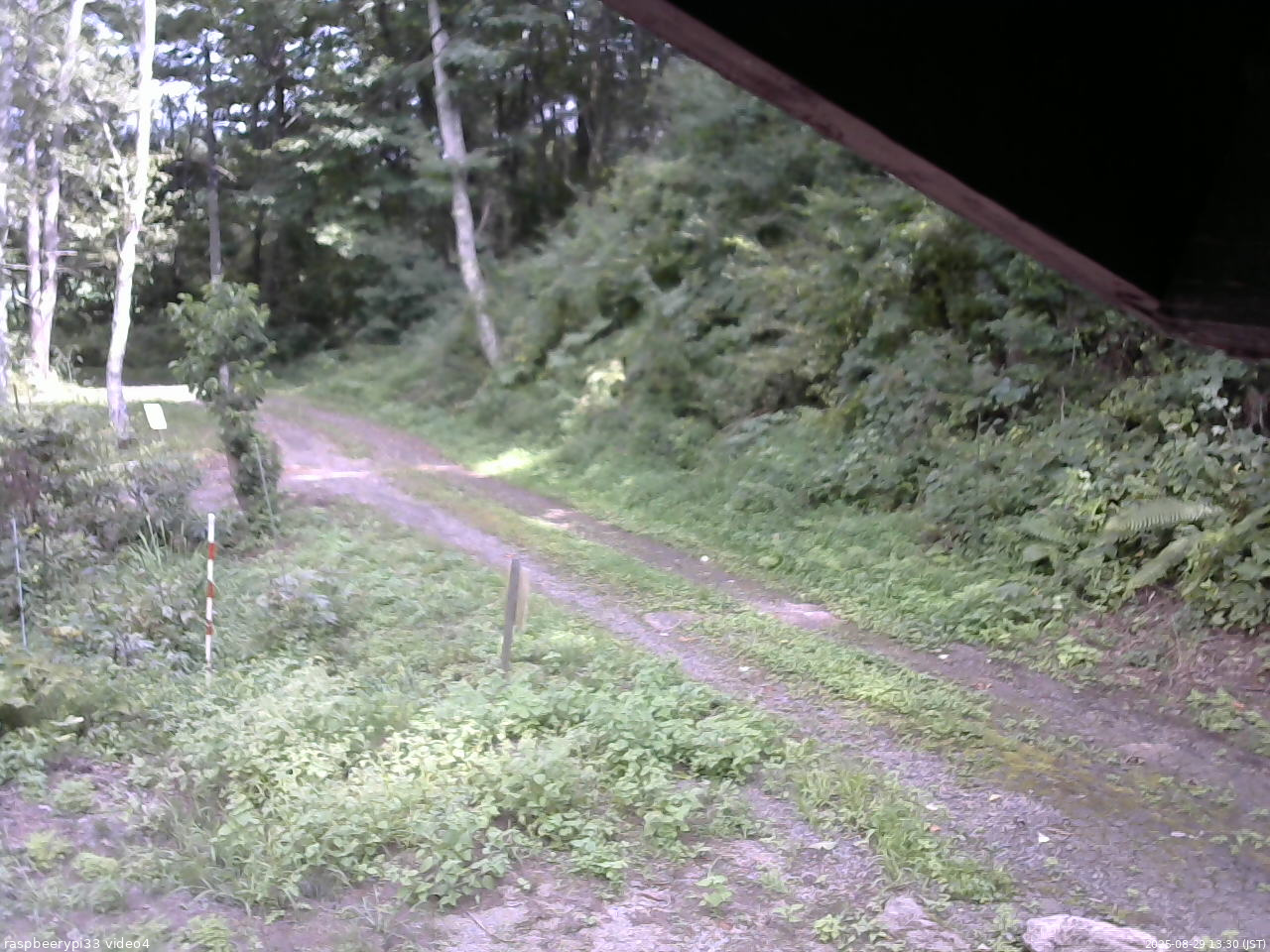 長野県菅平高原 ゆたか山荘 東側(坂下) 2025/08/29 13:30