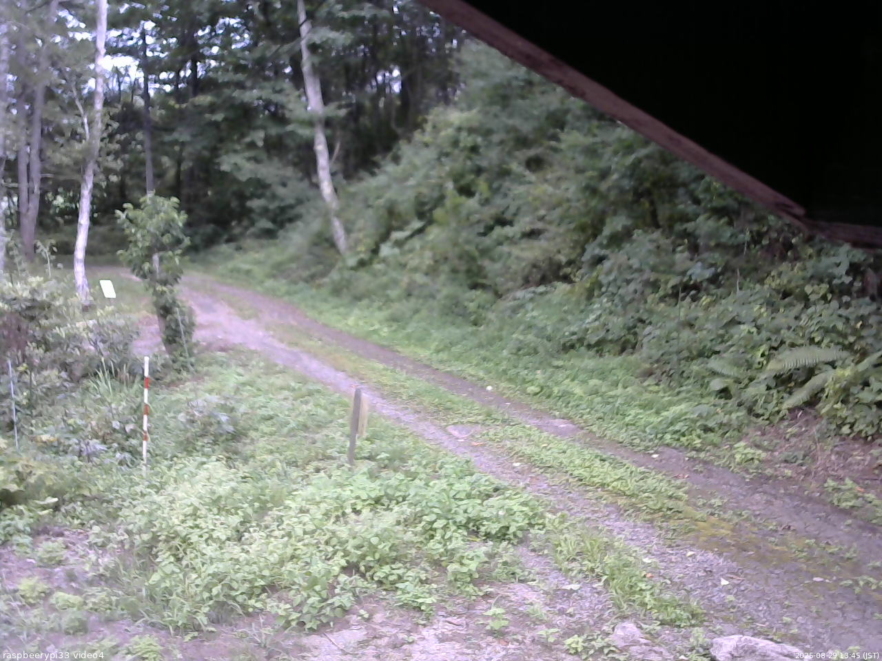 長野県菅平高原 ゆたか山荘 東側(坂下) 2025/08/29 13:45