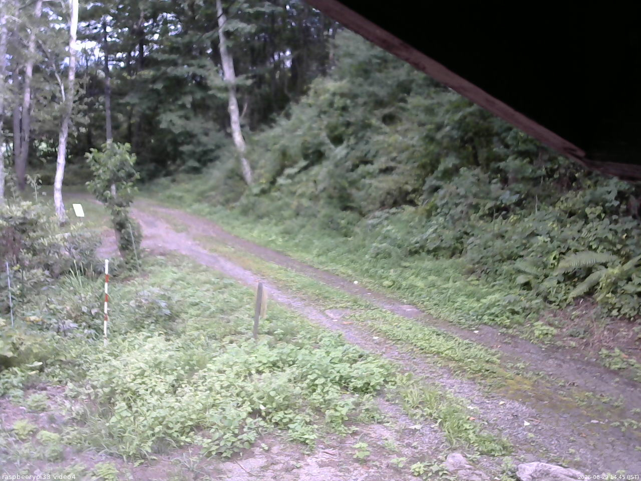 長野県菅平高原 ゆたか山荘 東側(坂下) 2025/08/29 14:45