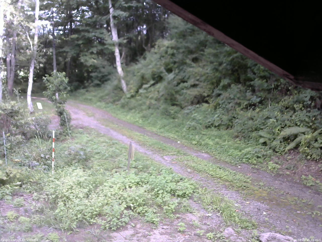 長野県菅平高原 ゆたか山荘 東側(坂下) 2025/08/29 15:30