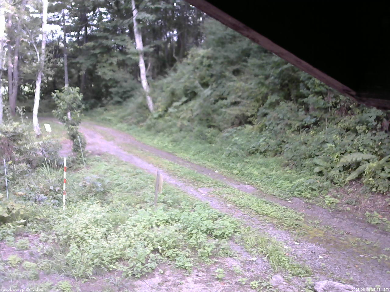 長野県菅平高原 ゆたか山荘 東側(坂下) 2025/08/29 15:45