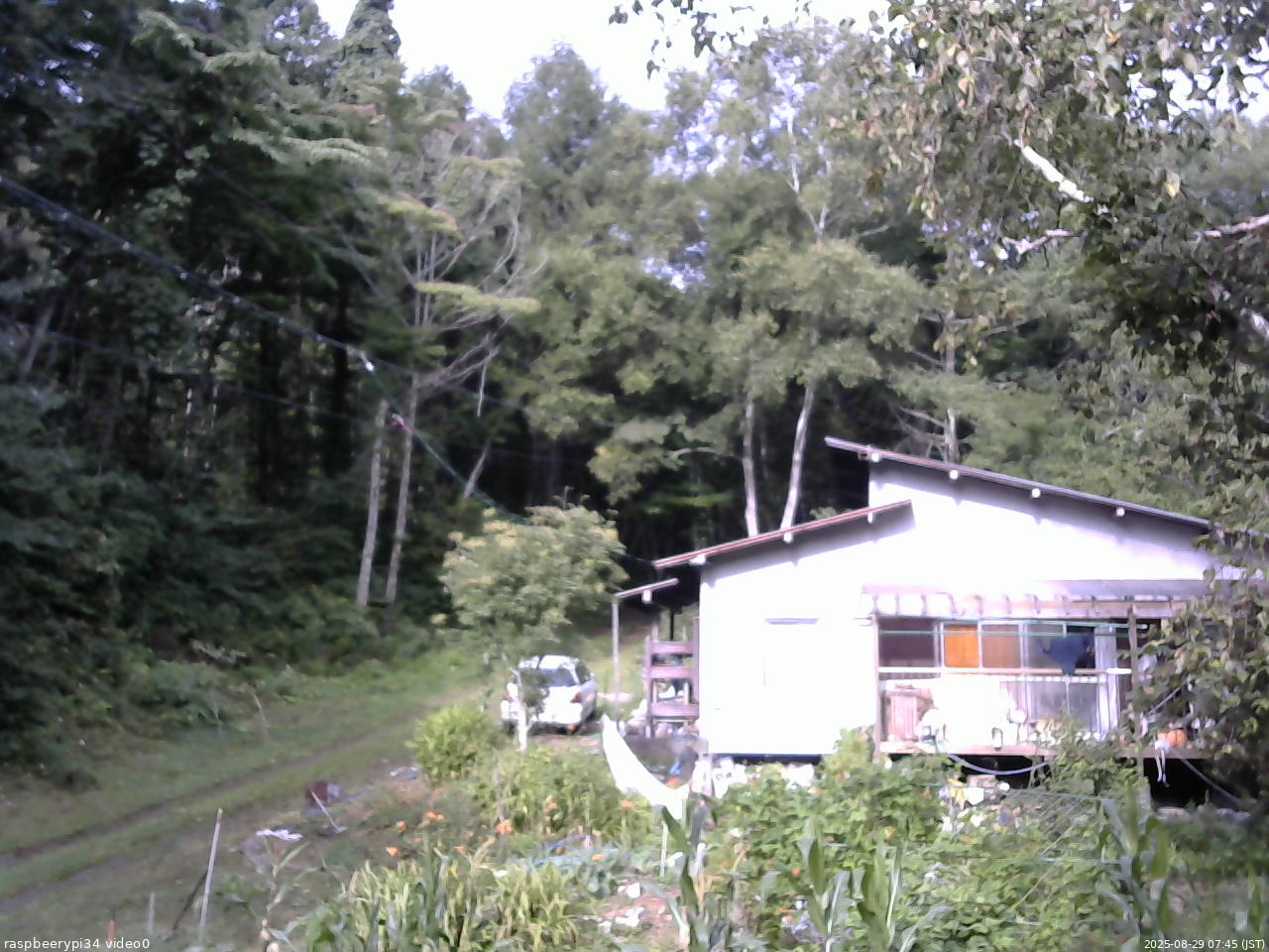 長野県菅平高原 ゆたか山荘 西側(坂上) 2025/08/29 07:45