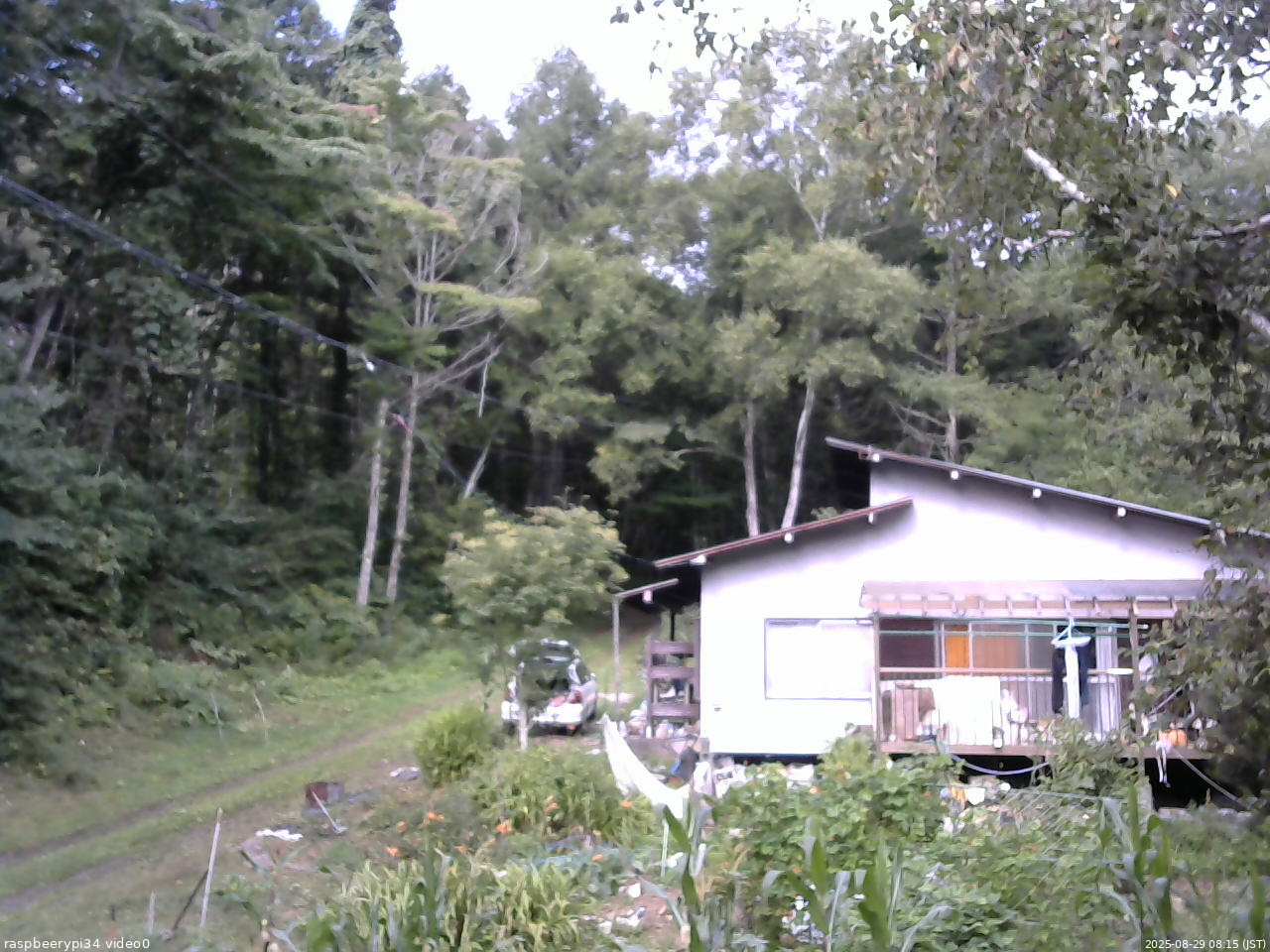 長野県菅平高原 ゆたか山荘 西側(坂上) 2025/08/29 08:15