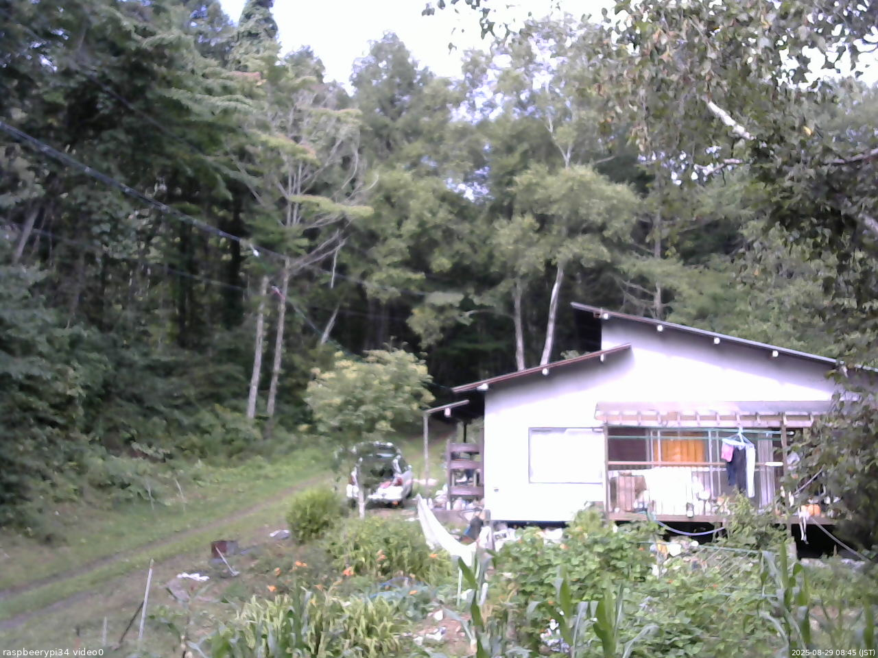 長野県菅平高原 ゆたか山荘 西側(坂上) 2025/08/29 08:45