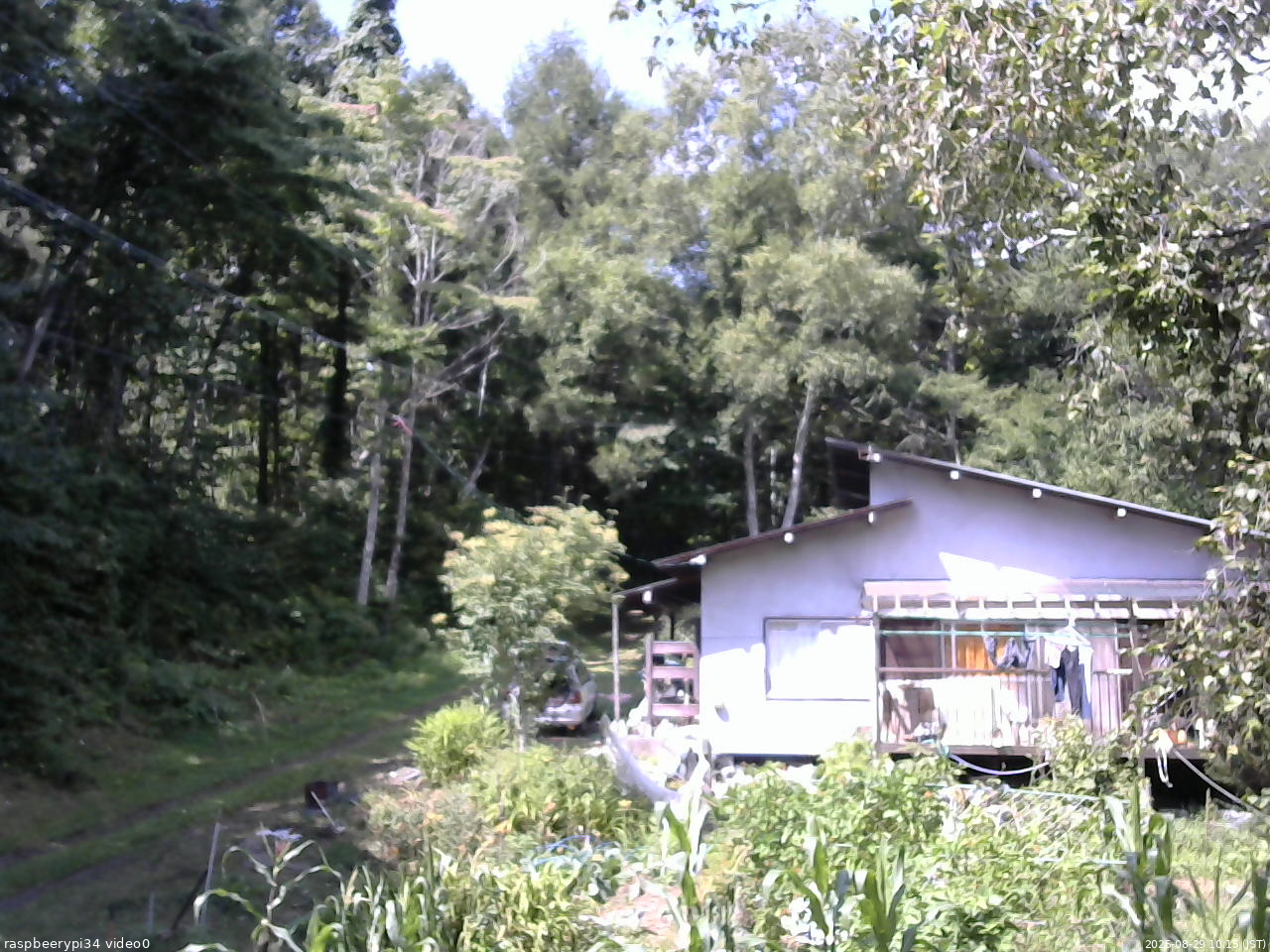 長野県菅平高原 ゆたか山荘 西側(坂上) 2025/08/29 10:15