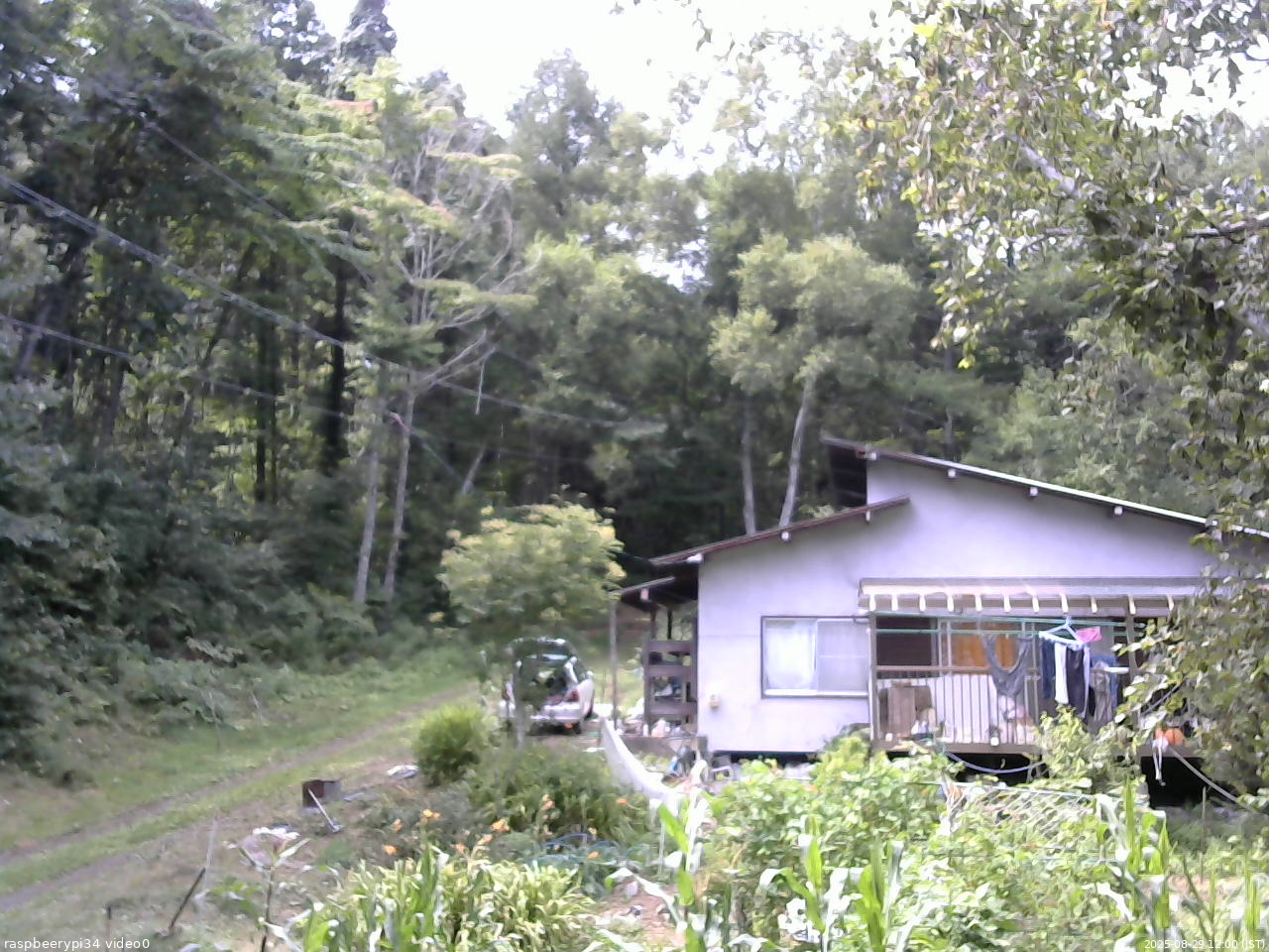 長野県菅平高原 ゆたか山荘 西側(坂上) 2025/08/29 12:00