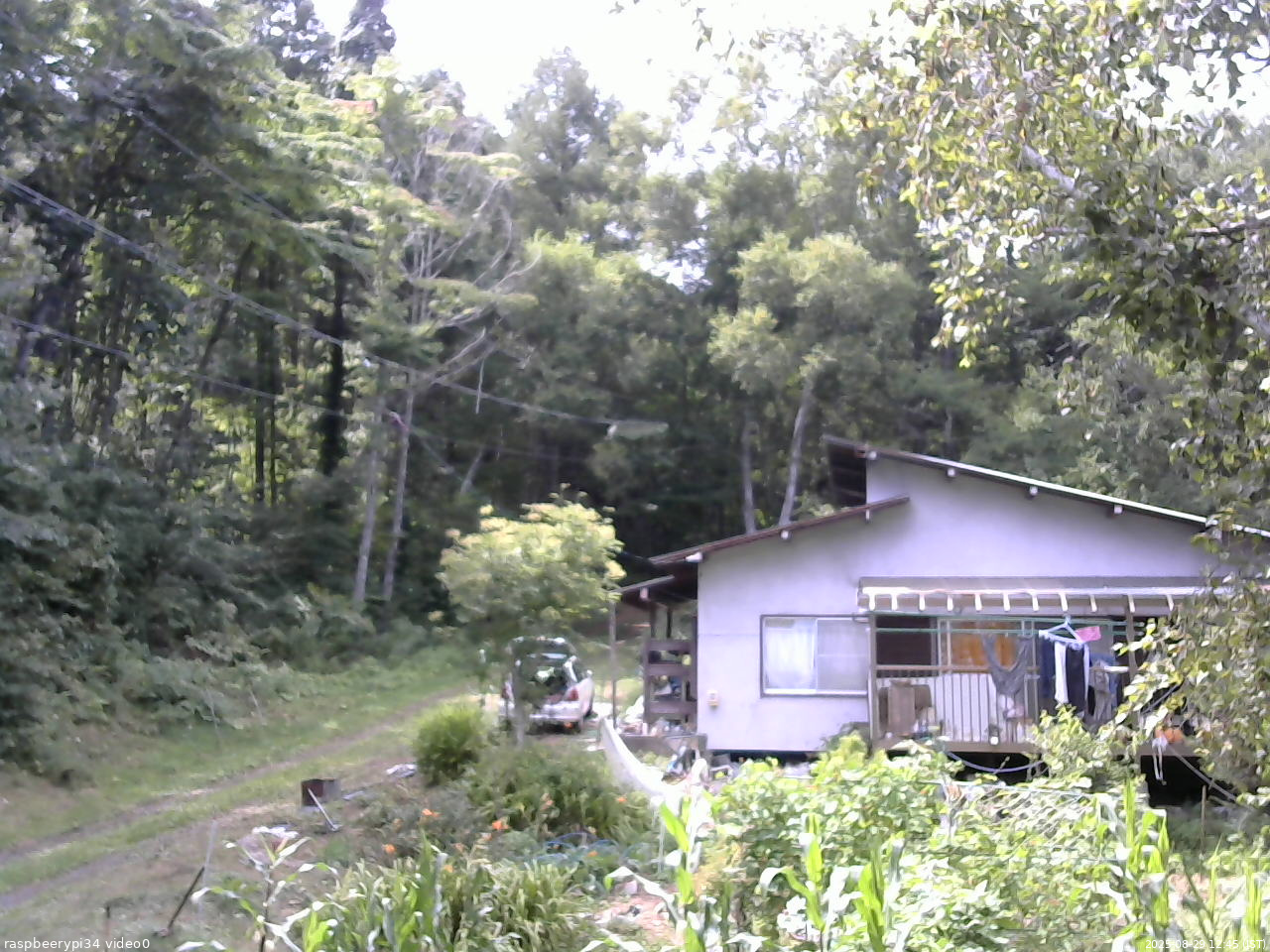 長野県菅平高原 ゆたか山荘 西側(坂上) 2025/08/29 12:45