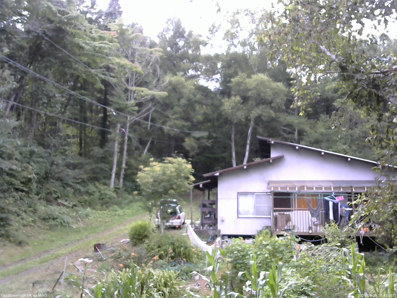 長野県菅平高原 ゆたか山荘 西側(坂上) 2025/08/29 13:45