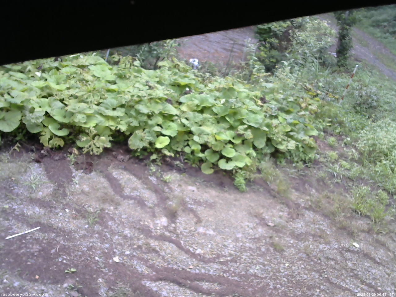 長野県菅平高原 ゆたか山荘 駐車場 2025/08/29 06:45