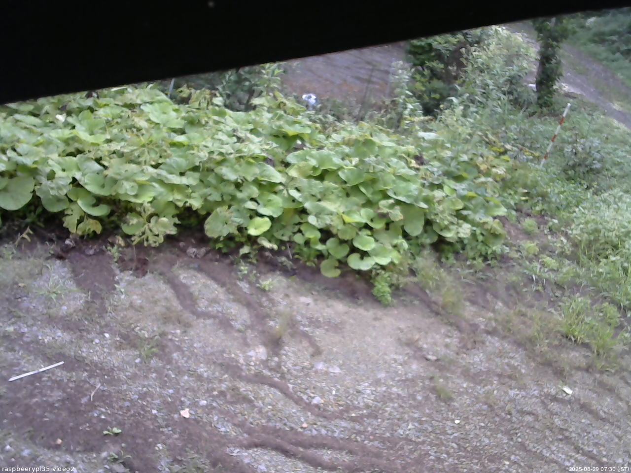 長野県菅平高原 ゆたか山荘 駐車場 2025/08/29 07:30
