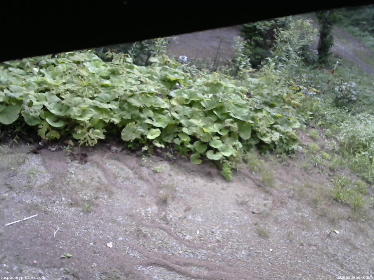 長野県菅平高原 ゆたか山荘 駐車場 2025/08/29 08:45