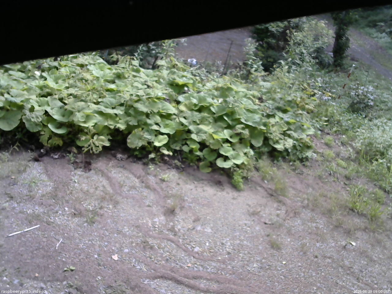 長野県菅平高原 ゆたか山荘 駐車場 2025/08/29 09:00
