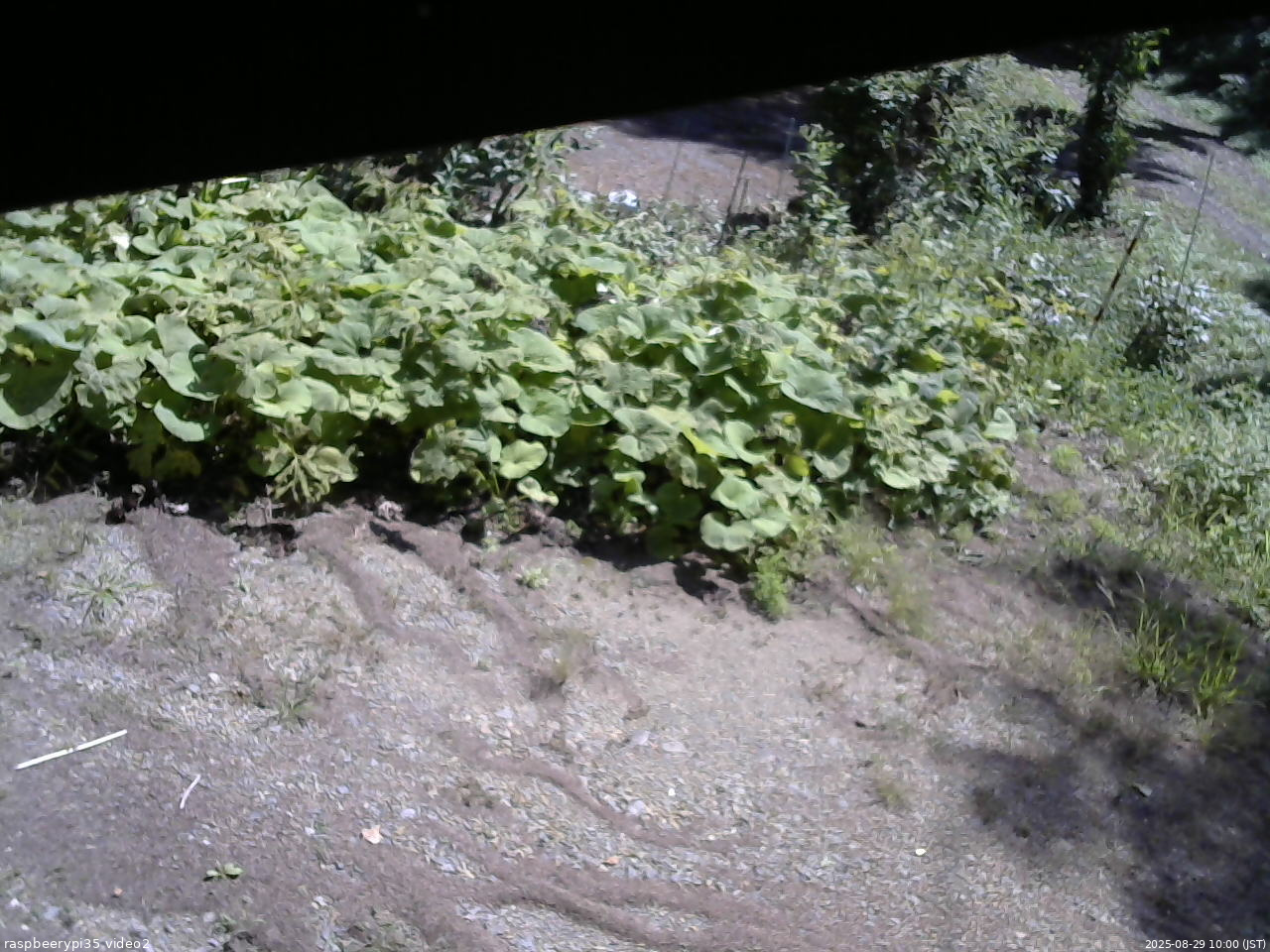 長野県菅平高原 ゆたか山荘 駐車場 2025/08/29 10:00