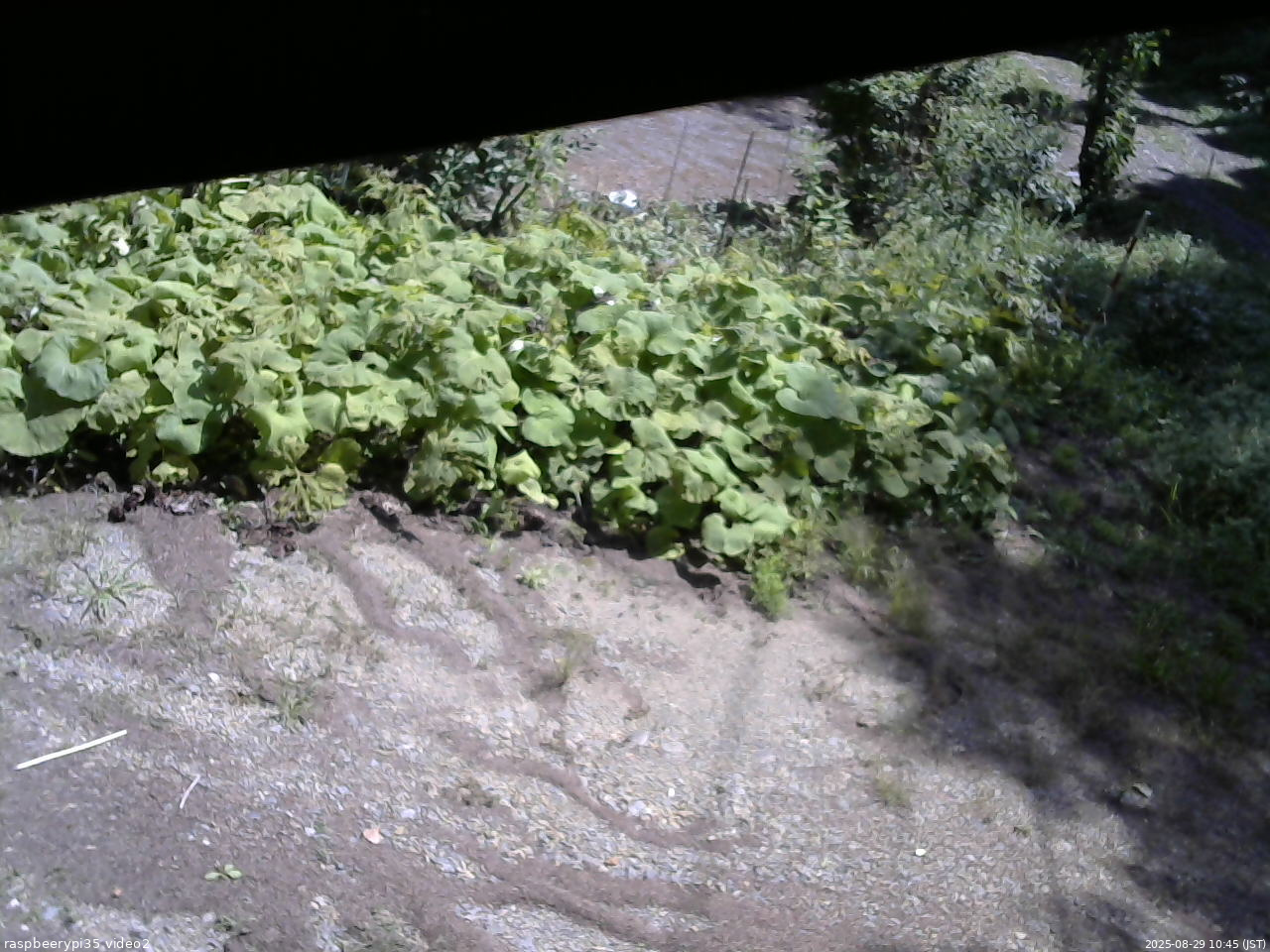 長野県菅平高原 ゆたか山荘 駐車場 2025/08/29 10:45