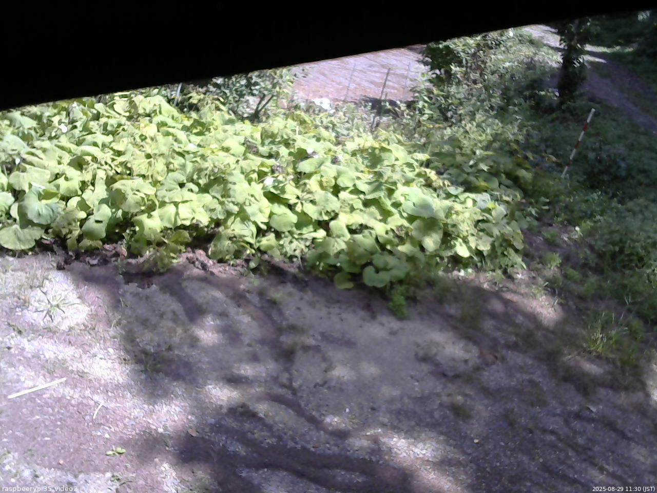 長野県菅平高原 ゆたか山荘 駐車場 2025/08/29 11:30