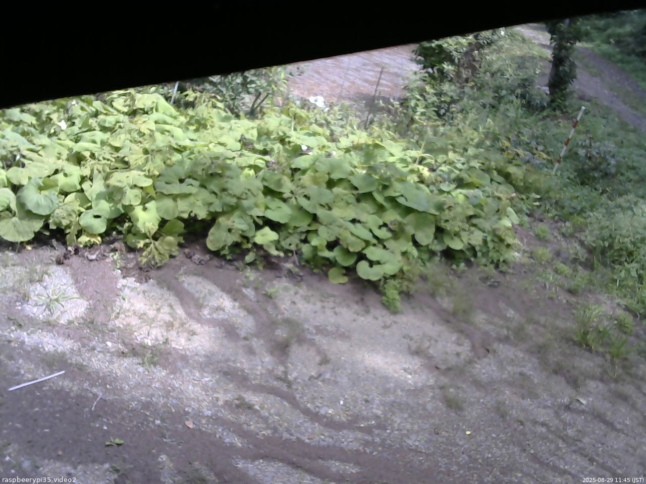 長野県菅平高原 ゆたか山荘 駐車場 2025/08/29 11:45