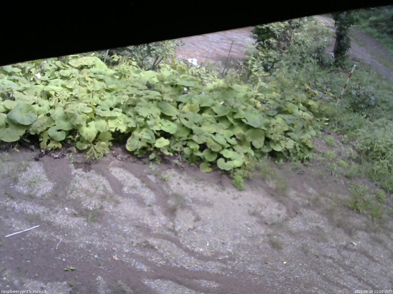 長野県菅平高原 ゆたか山荘 駐車場 2025/08/29 12:00