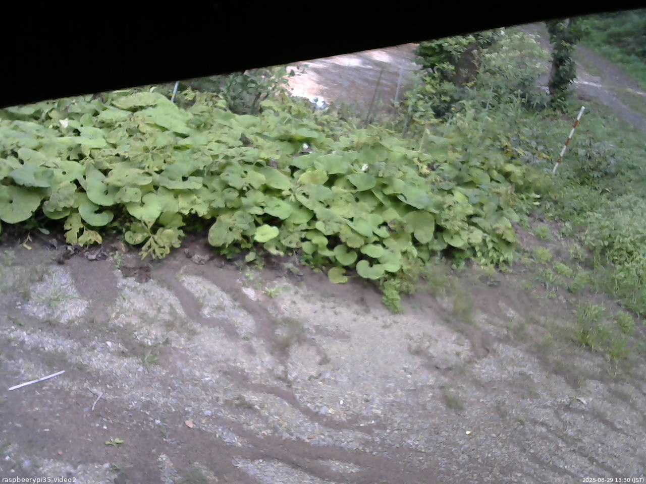長野県菅平高原 ゆたか山荘 駐車場 2025/08/29 13:30