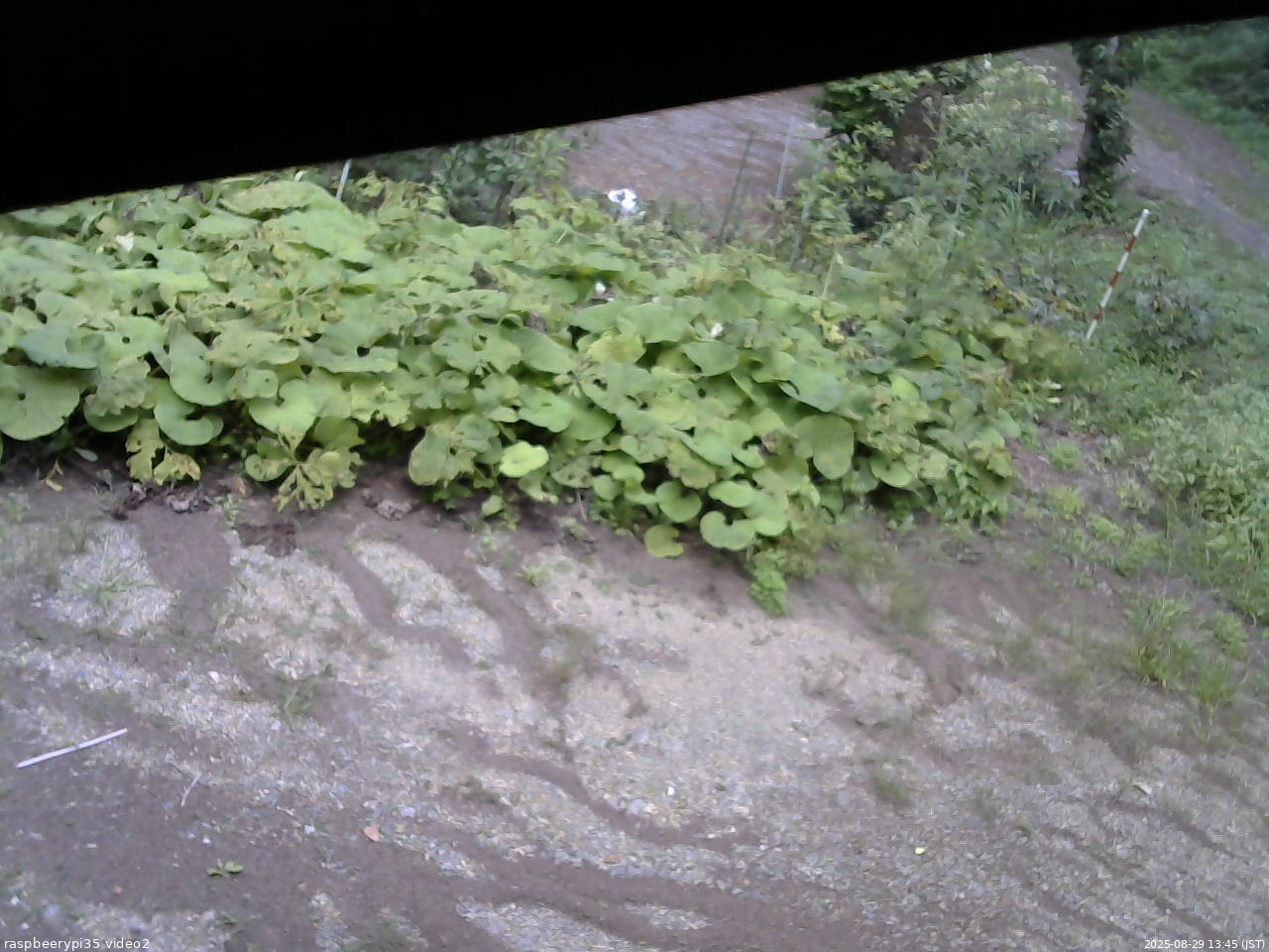 長野県菅平高原 ゆたか山荘 駐車場 2025/08/29 13:45