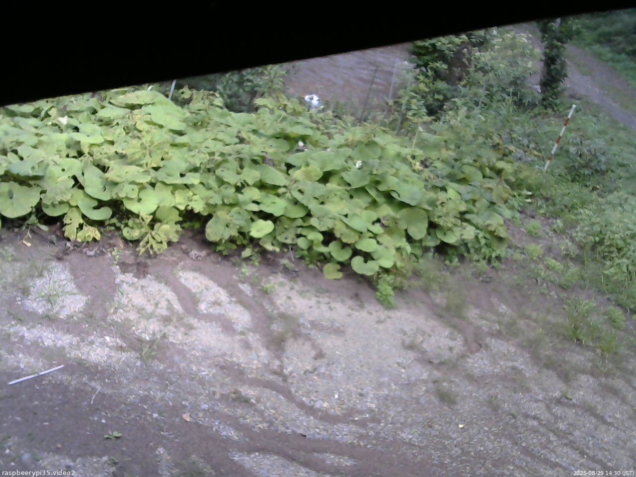 長野県菅平高原 ゆたか山荘 駐車場 2025/08/29 14:30