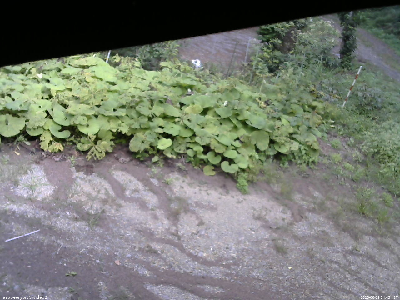 長野県菅平高原 ゆたか山荘 駐車場 2025/08/29 14:45