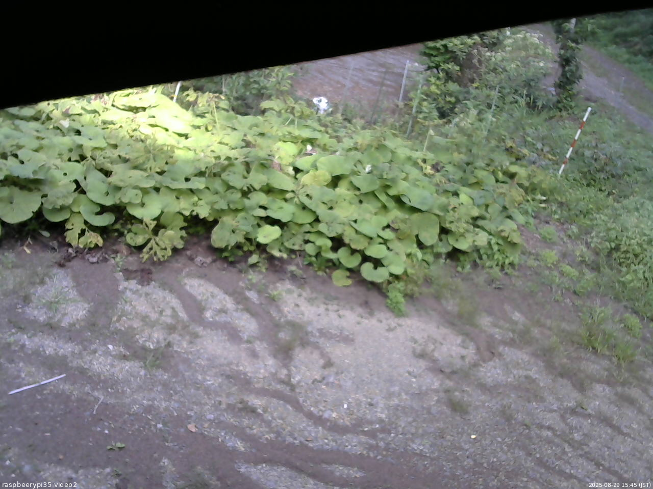 長野県菅平高原 ゆたか山荘 駐車場 2025/08/29 15:45