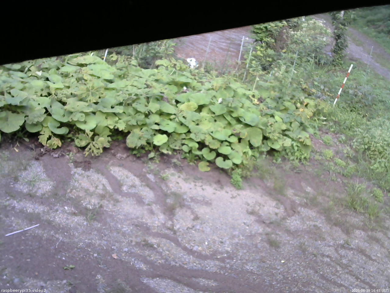 長野県菅平高原 ゆたか山荘 駐車場 2025/08/29 16:45