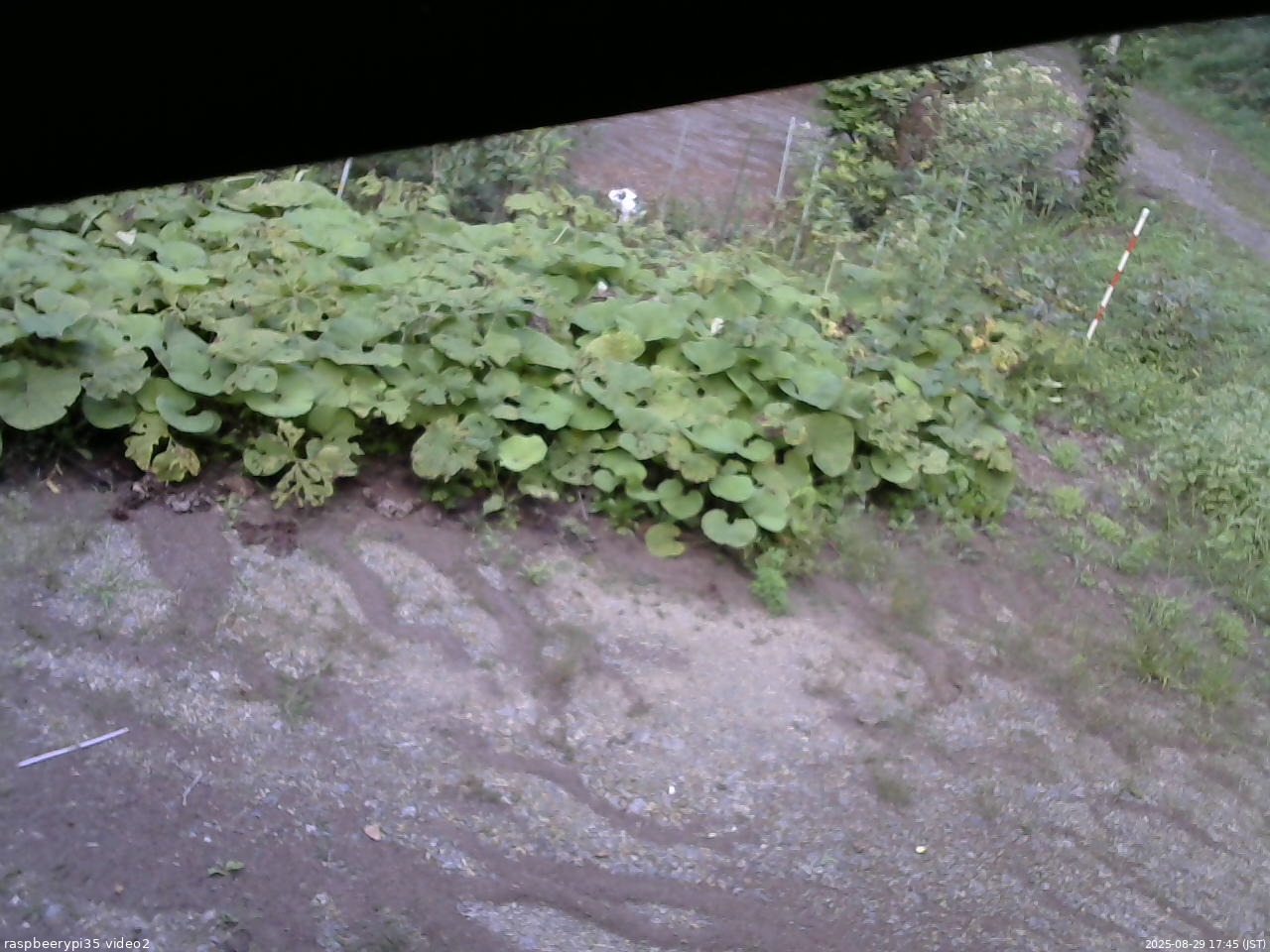 長野県菅平高原 ゆたか山荘 駐車場 2025/08/29 17:45
