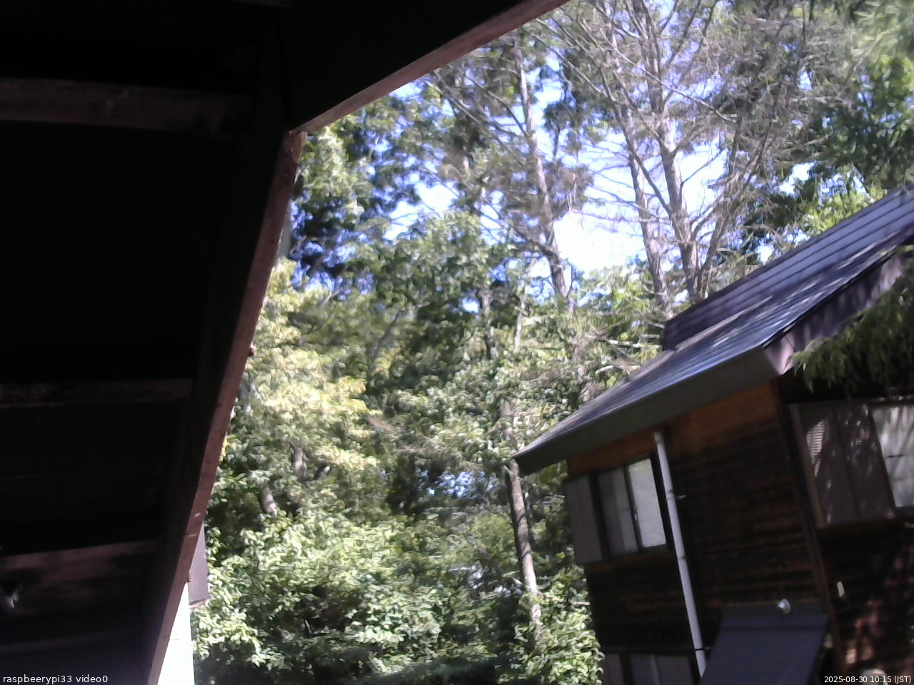長野県菅平高原 ゆたか山荘 北側 2025/08/30 10:15
