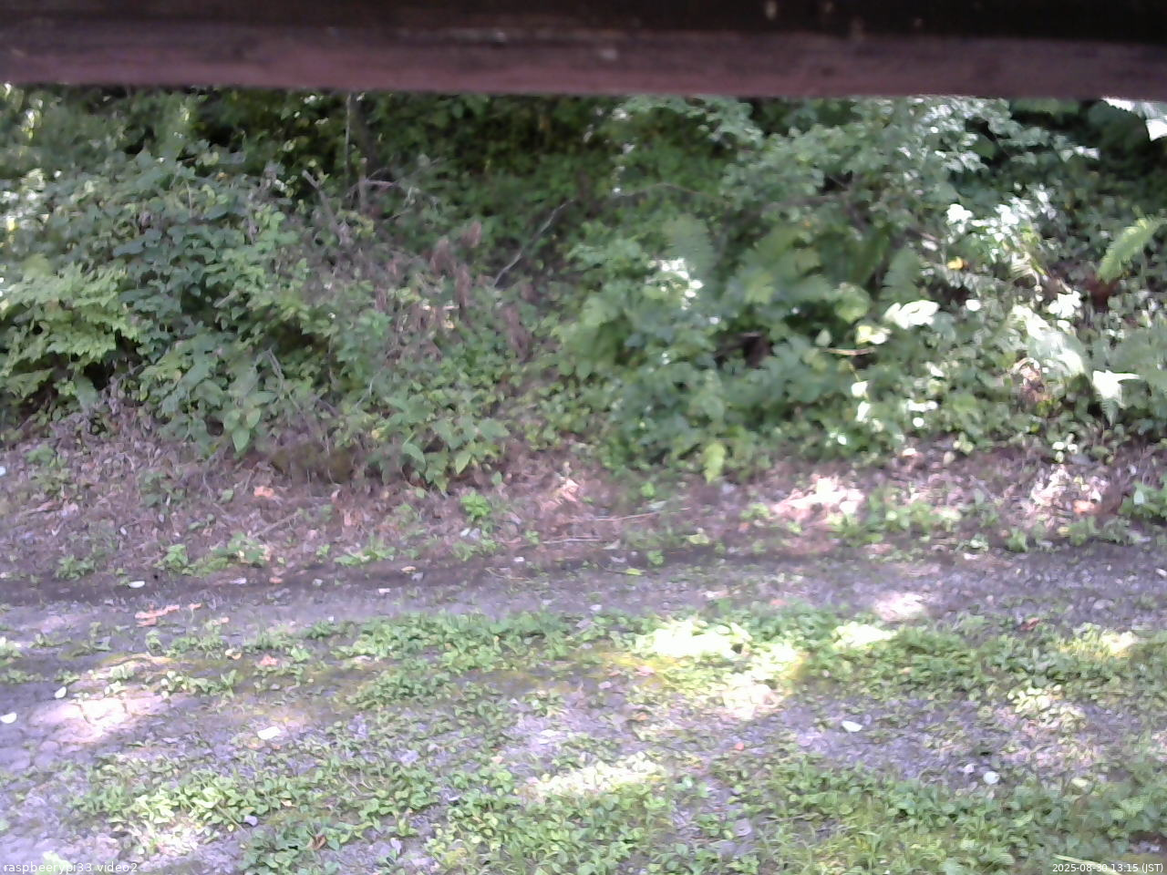 長野県菅平高原 ゆたか山荘 南側 2025/08/30 13:15
