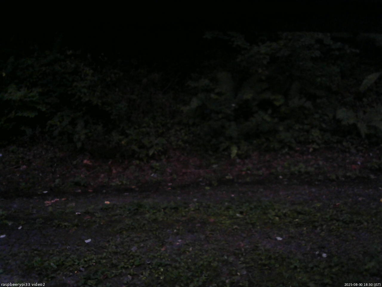 長野県菅平高原 ゆたか山荘 南側 2025/08/30 18:30