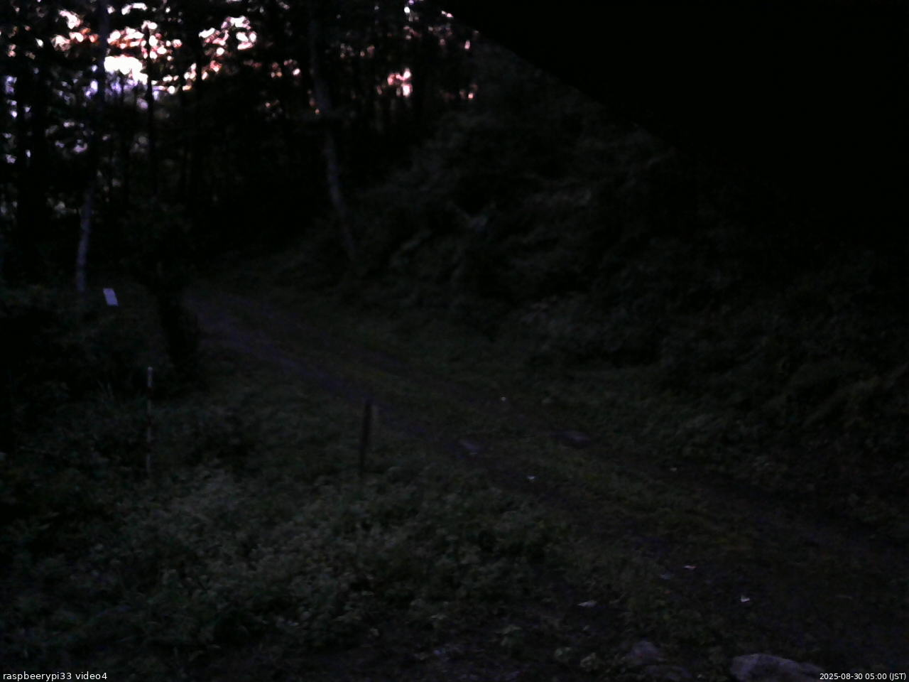 長野県菅平高原 ゆたか山荘 東側(坂下) 2025/08/30 05:00