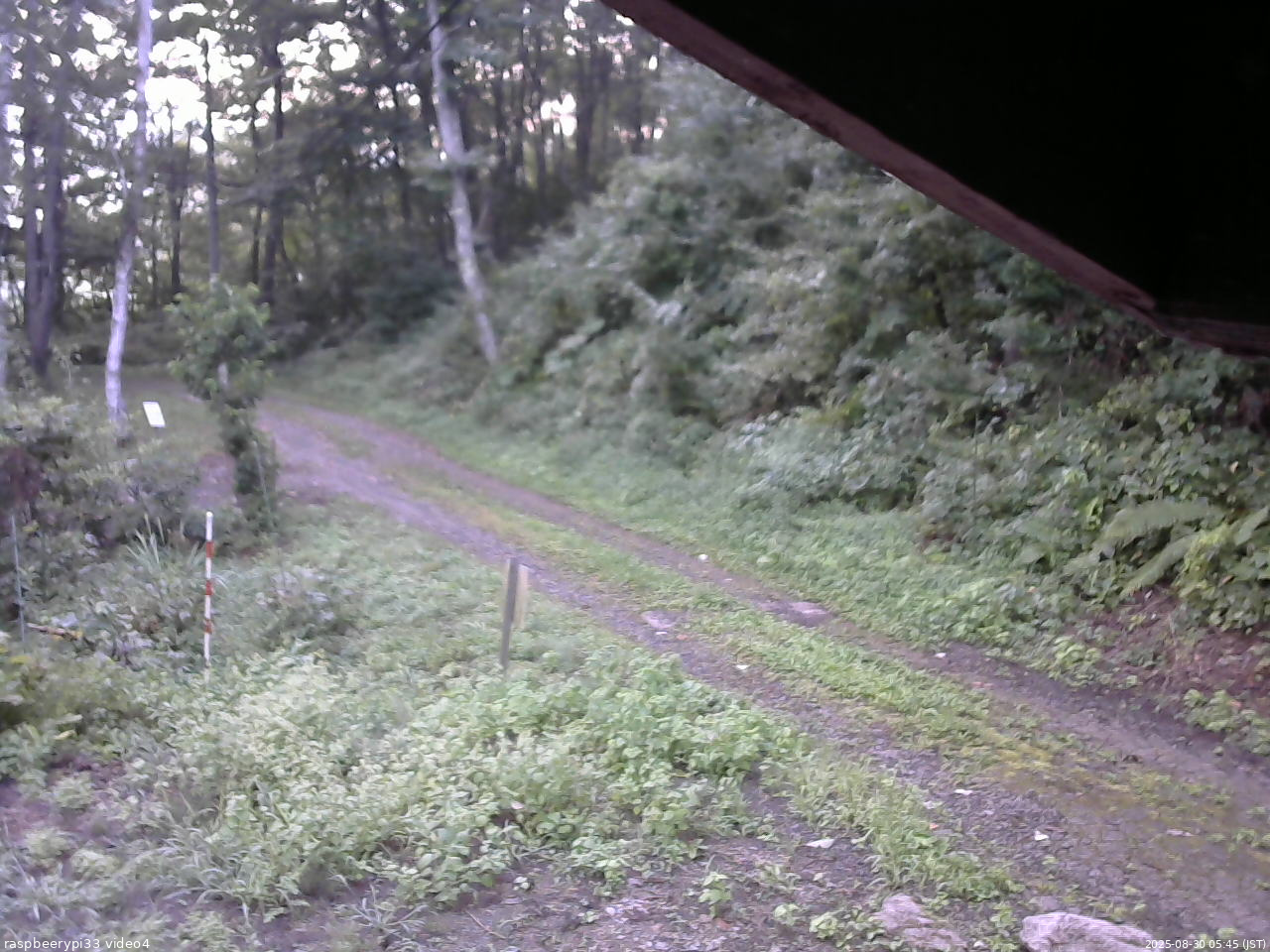長野県菅平高原 ゆたか山荘 東側(坂下) 2025/08/30 05:45