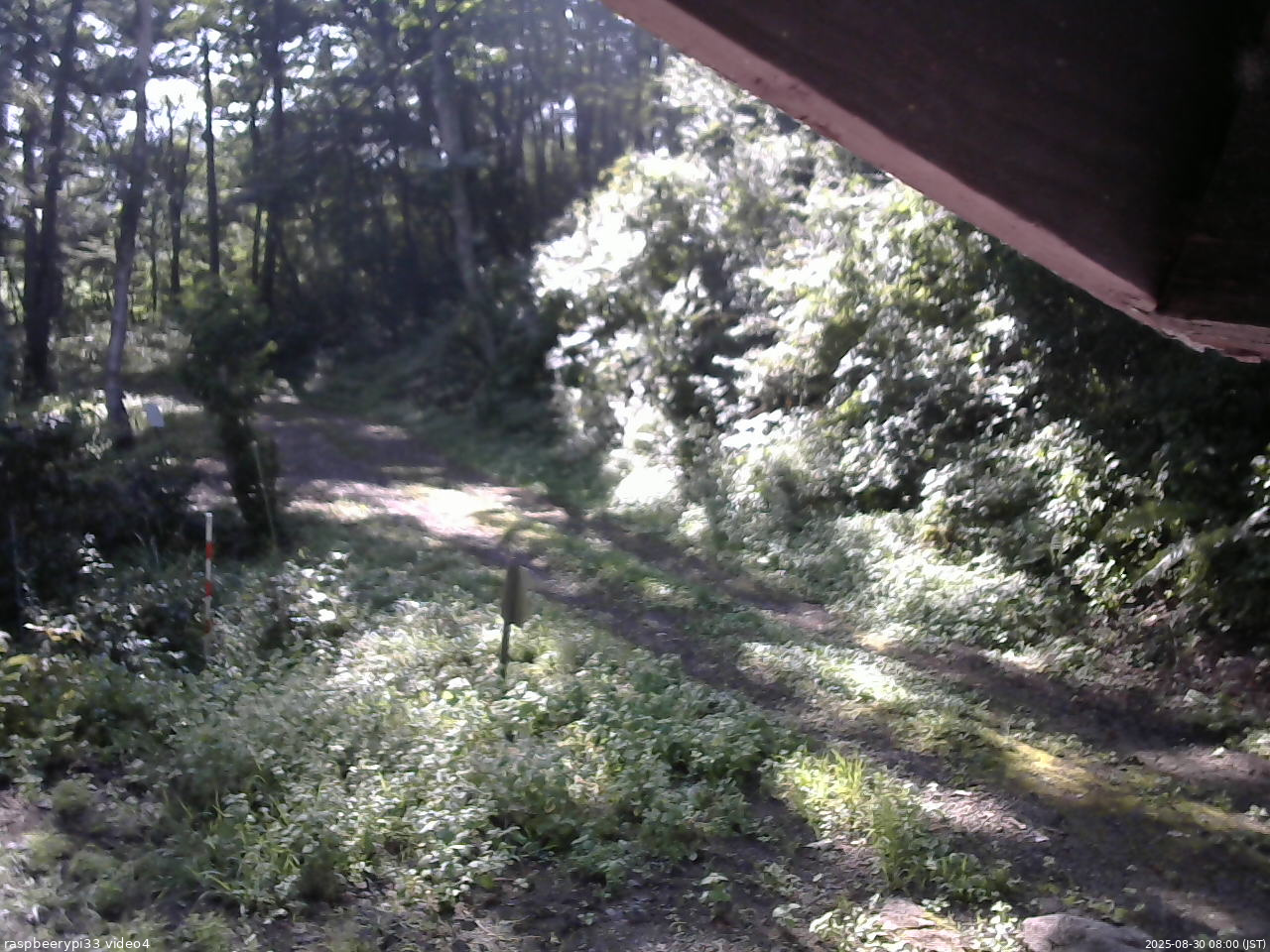 長野県菅平高原 ゆたか山荘 東側(坂下) 2025/08/30 08:00