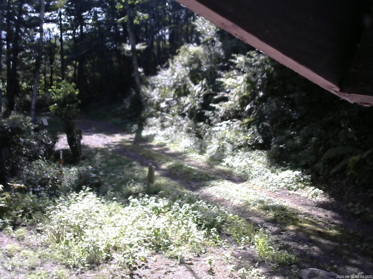 長野県菅平高原 ゆたか山荘 東側(坂下) 2025/08/30 08:30