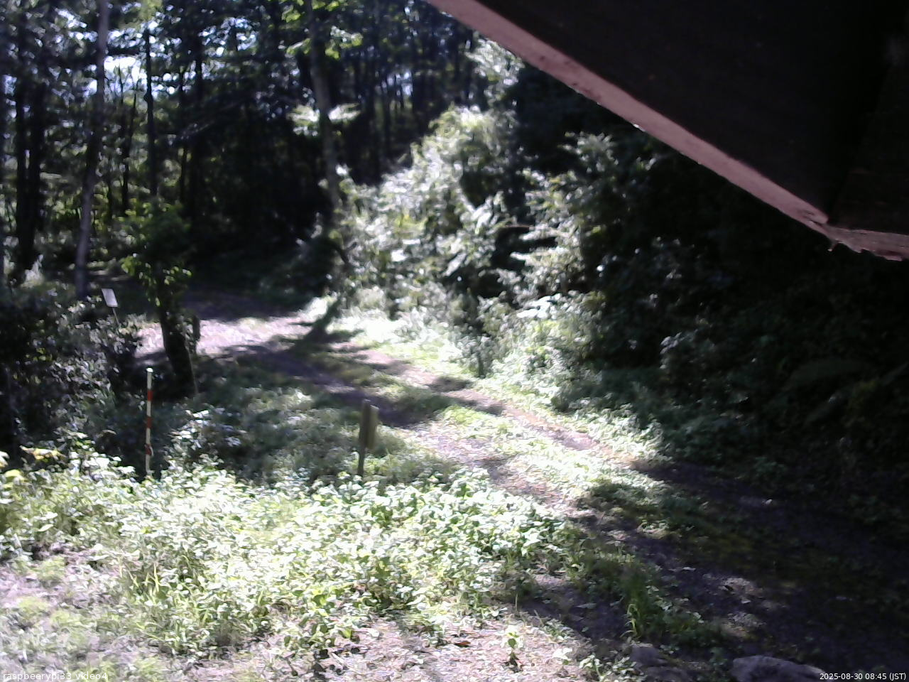 長野県菅平高原 ゆたか山荘 東側(坂下) 2025/08/30 08:45