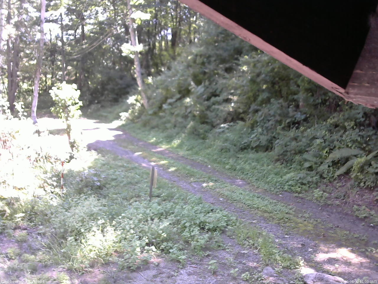長野県菅平高原 ゆたか山荘 東側(坂下) 2025/08/30 11:00
