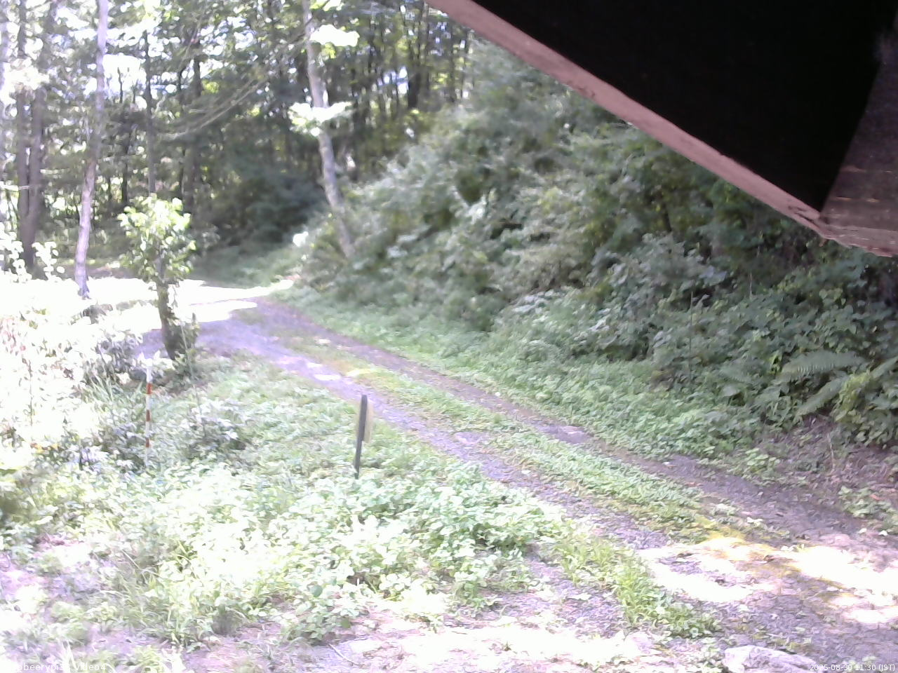 長野県菅平高原 ゆたか山荘 東側(坂下) 2025/08/30 11:30