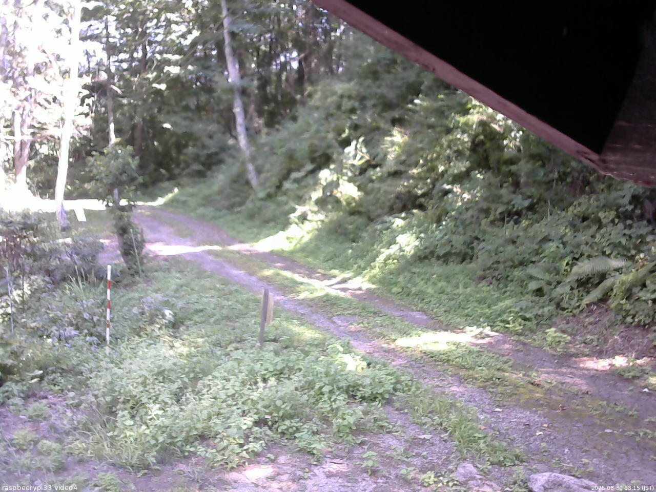 長野県菅平高原 ゆたか山荘 東側(坂下) 2025/08/30 13:15