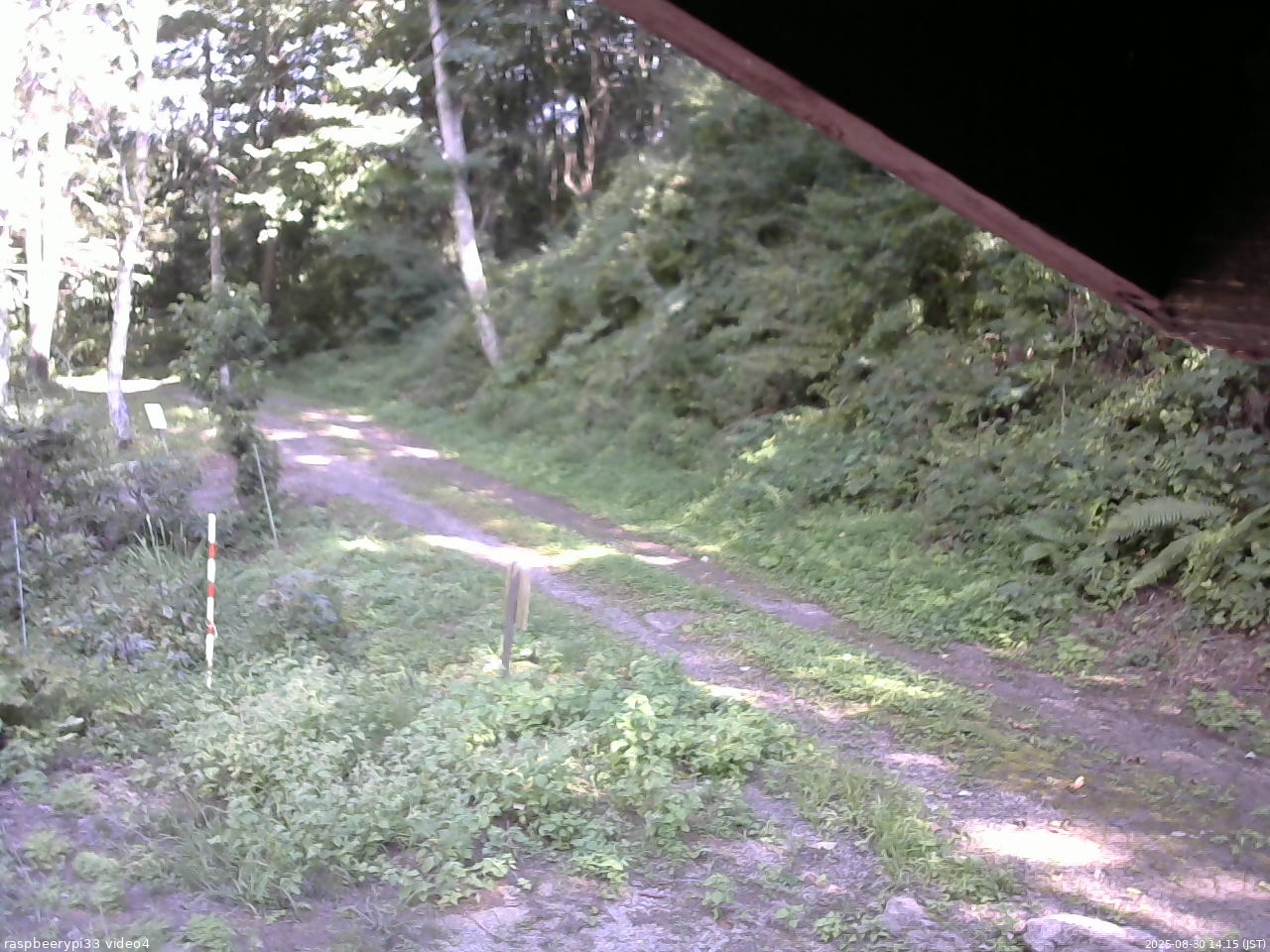 長野県菅平高原 ゆたか山荘 東側(坂下) 2025/08/30 14:15