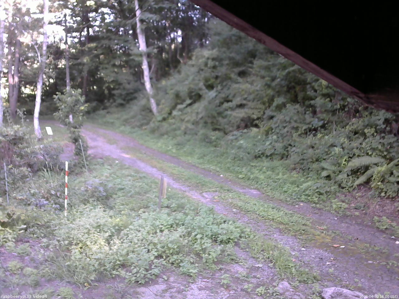 長野県菅平高原 ゆたか山荘 東側(坂下) 2025/08/30 16:00