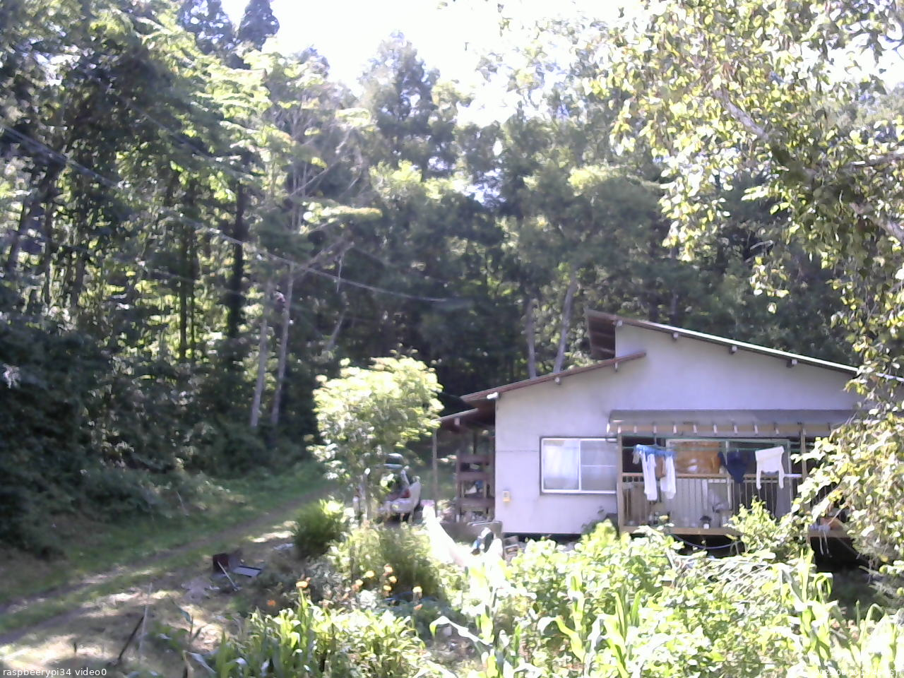 長野県菅平高原 ゆたか山荘 西側(坂上) 2025/08/30 13:45