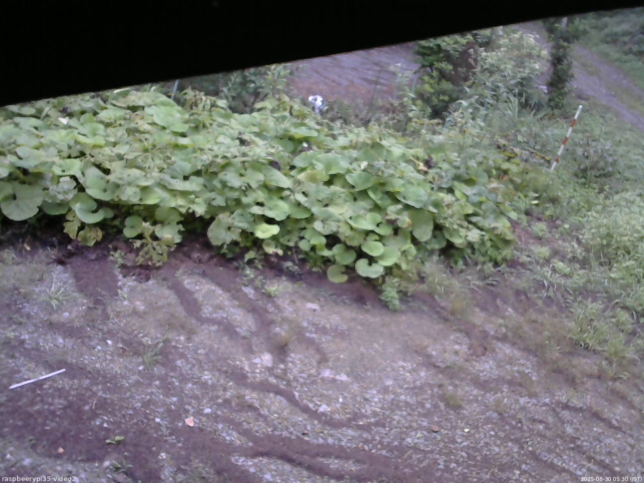長野県菅平高原 ゆたか山荘 駐車場 2025/08/30 05:30