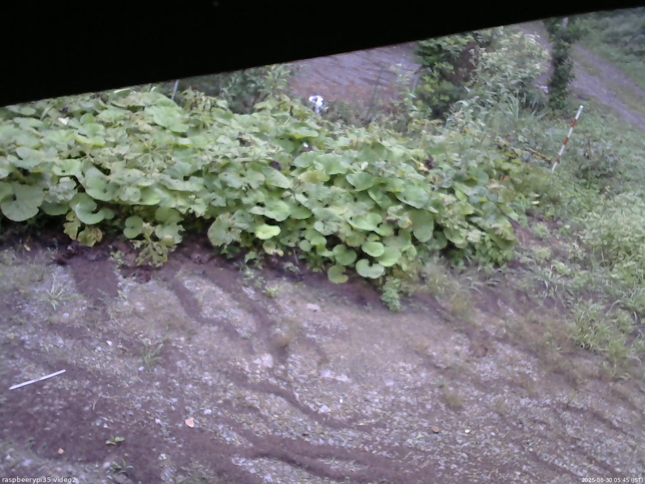 長野県菅平高原 ゆたか山荘 駐車場 2025/08/30 05:45