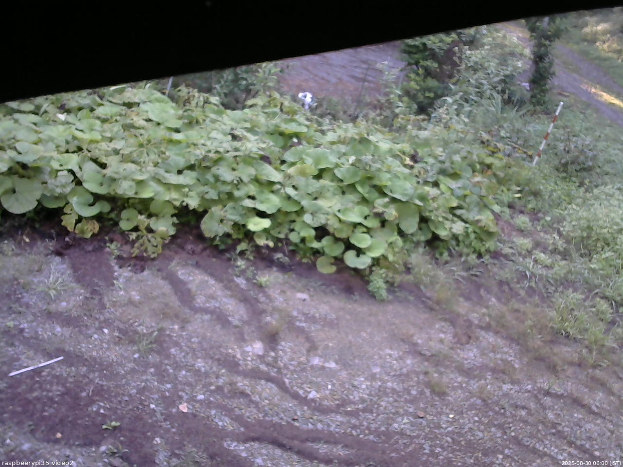 長野県菅平高原 ゆたか山荘 駐車場 2025/08/30 06:00