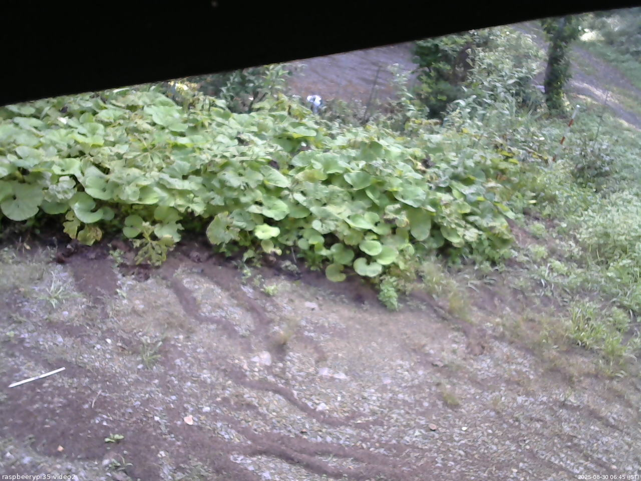 長野県菅平高原 ゆたか山荘 駐車場 2025/08/30 06:45